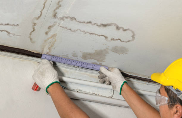 Reliable Mold Remediation contractor in Forestville, MI by Water Damage Irwin